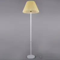 Торшер РС20536 WT+FG/1F (shade+body)*