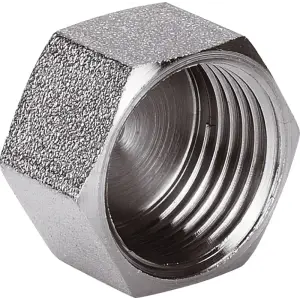 Заглушка 1/2\'\'F AQualink