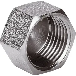 Заглушка 1\'\'F AQualink