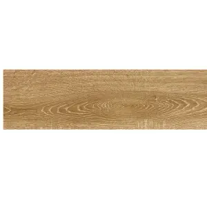 Керамогранит AlmaCeramica Алмонд / Almond 20*90 арт.GFA92AMD48R