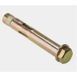 Болт анкерный 10x55 (уп 2шт) SteelRex