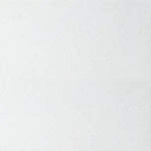 Плита потолочная ARMSTRONG Bioguard Plain Microlook 600х600х15 мм белый (5,76 кв.м./упак)