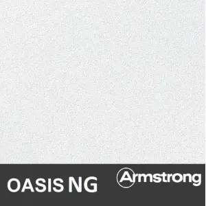 Плита потолочная ARMSTRONG OASIS NG Board grit 0,2-0,5 600х600х12 огнестойкая (7,2 м2 20 шт/уп)