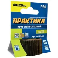 Круг лепестковый веерный с оправкой 40х20мм, P 80, хвостовик 6 мм, серия Профи, ПРАКТИКА