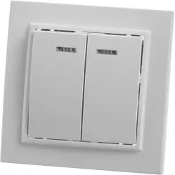 Выключатель двухклавишный СП 220V, 10А, c индикатором, белый (PSW10-9002-01) ЭРНА STEKKER