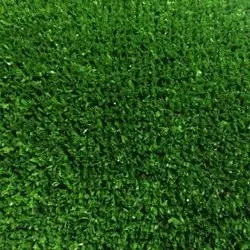 Трава искусственная GRASS КОМФОРТ (6 мм, ширина 2 м) рулон 25м