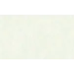 Обои anturAGe арт.8630-17 виниловые горячего тиснения на флизелиновой основе 10*1,06 Мэри фон